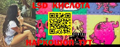 прущие крисы Бузулук
